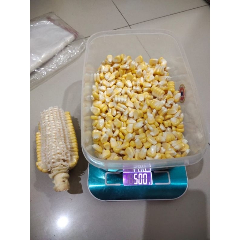 JAGUNG PIPIL MANIS / JASUKE FRESH SETIAP HARI