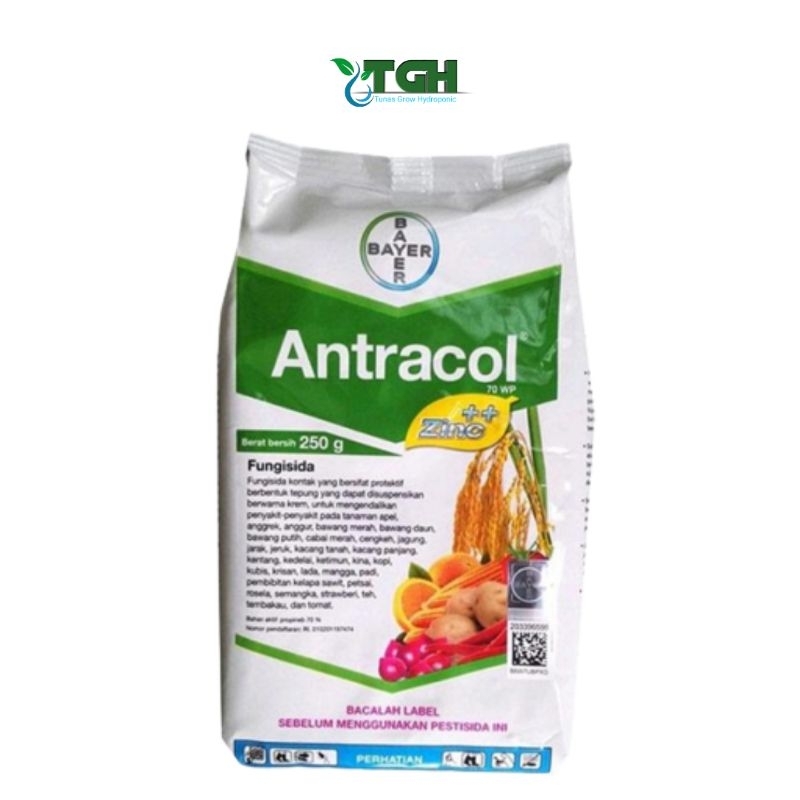 Fungisida Antracol