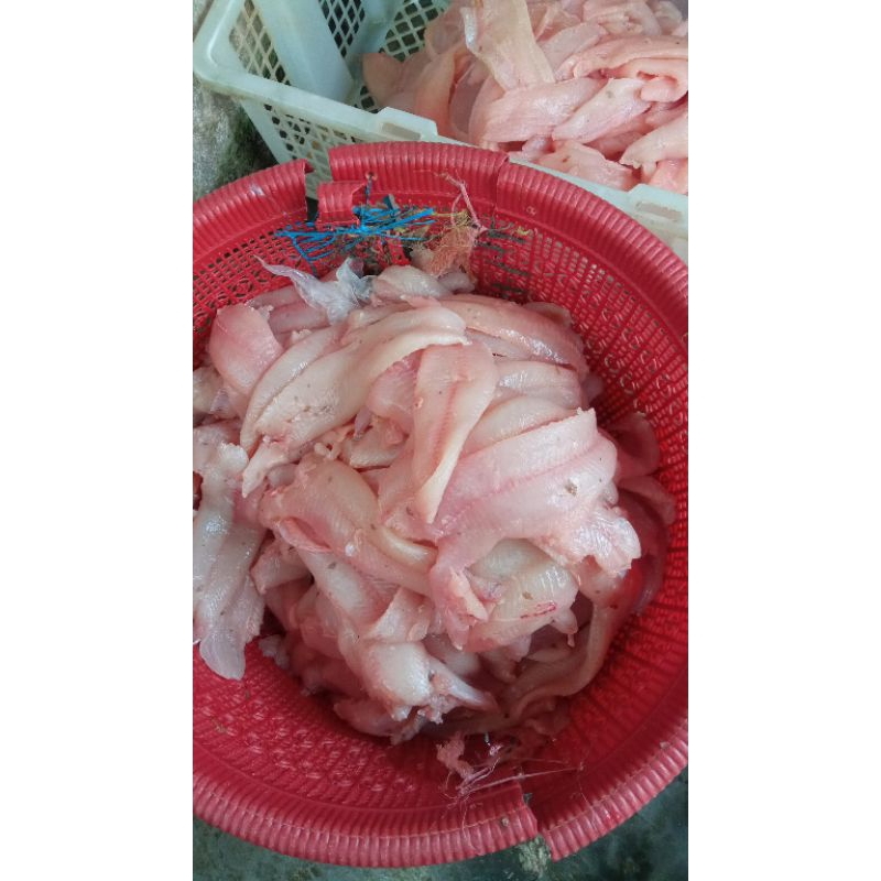 

Ikan gabus giling 1/2 kg