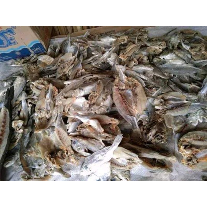 

Bulama kering