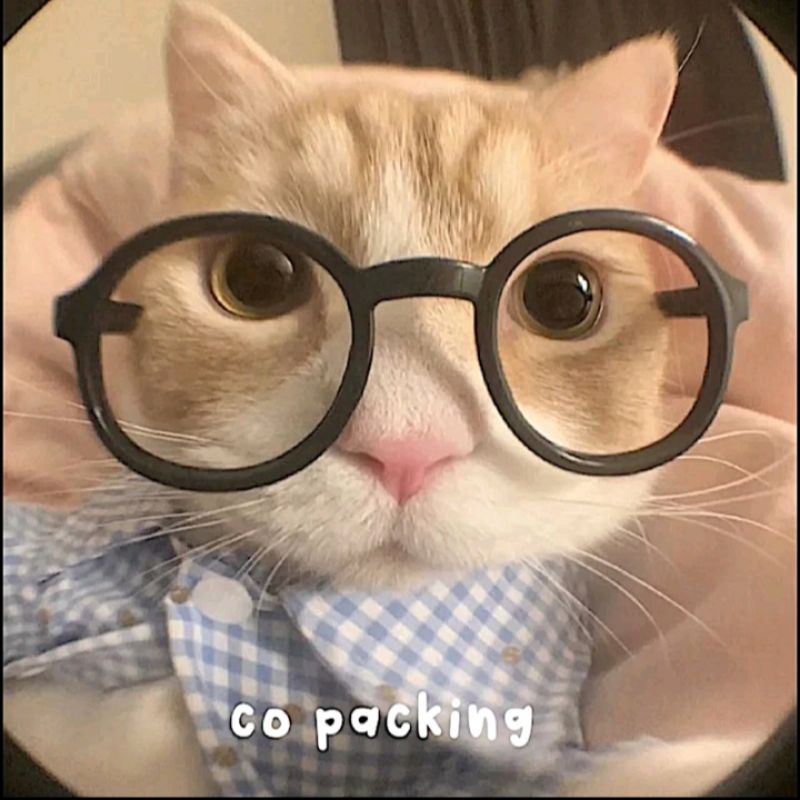 

CO PACKING [AGAR PACKING LEBIH AMAN]