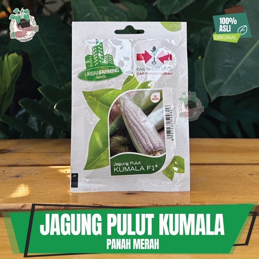 Benih Bibit Tanaman Biji Jagung Manis Pulut Kumala F1 Cap Panah Merah
