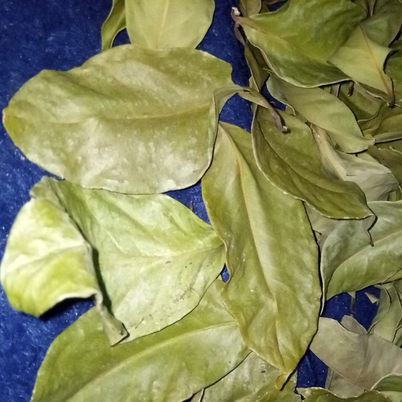 

Daun salam kering Bagus 100gram/dry bay leaves