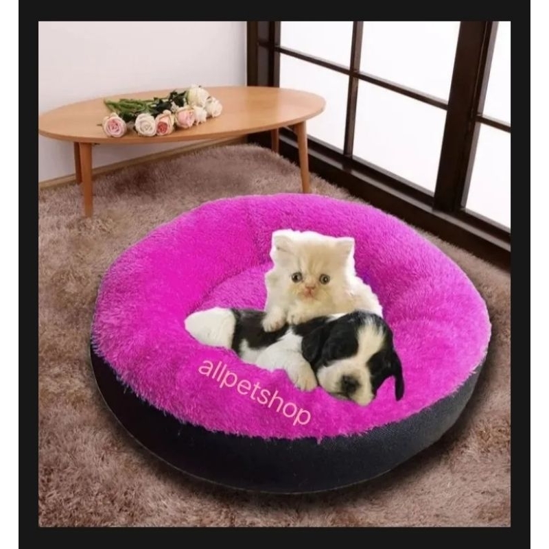 kasur kucing mpuk kasur kucing anjing cantik
