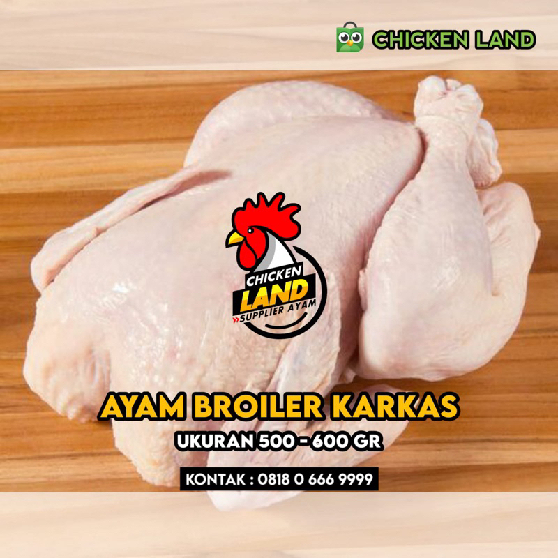 

AYAM KARKAS BROILER Ukuran 500 - 600 gr