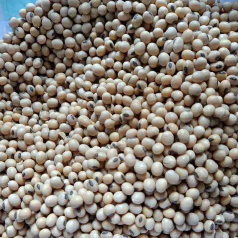 

biji kedelai import 500gr