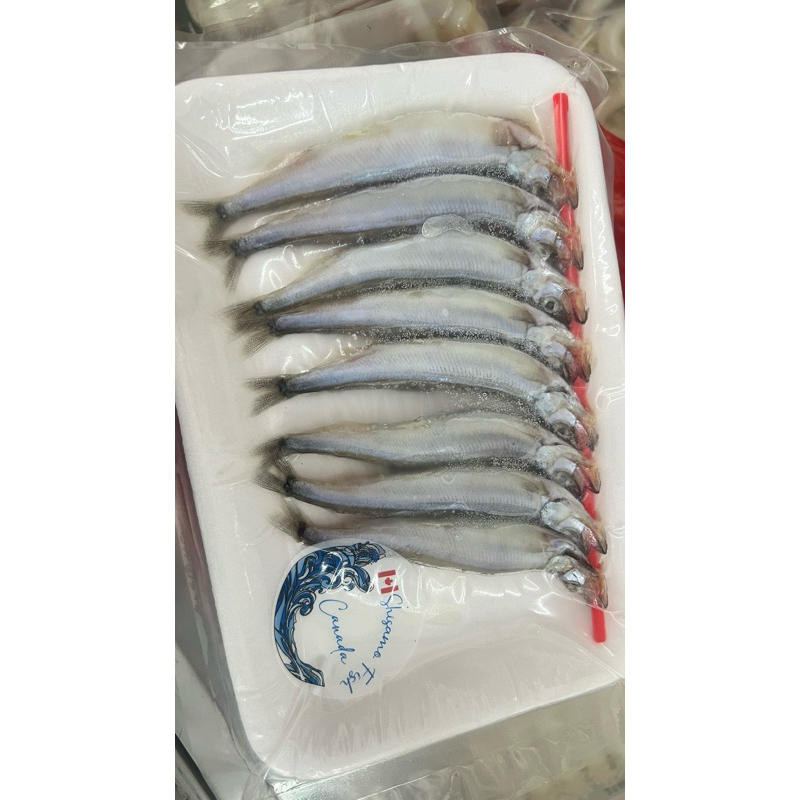 

PASAR ONLINE MURAH - IKAN SHISAMO TELUR JEPANG 1 PACK
