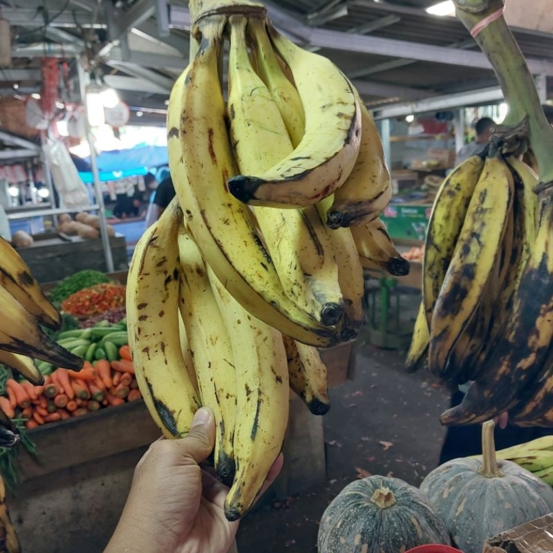 

pisang tanduk 1 sisir