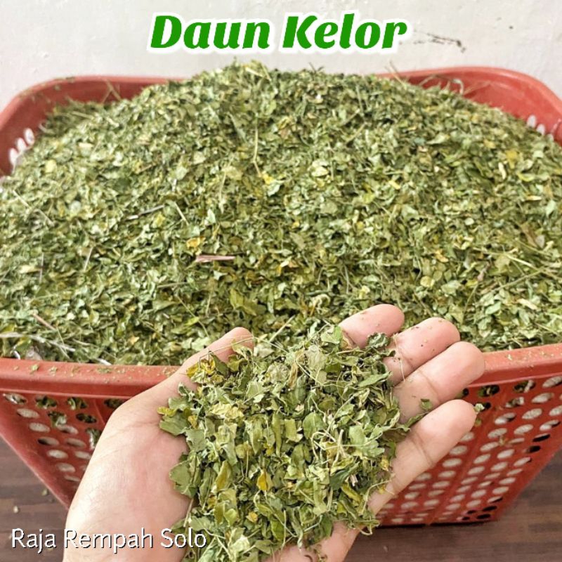 

Daun Kelor Kering Premium 1 Kg Rempah Herbal