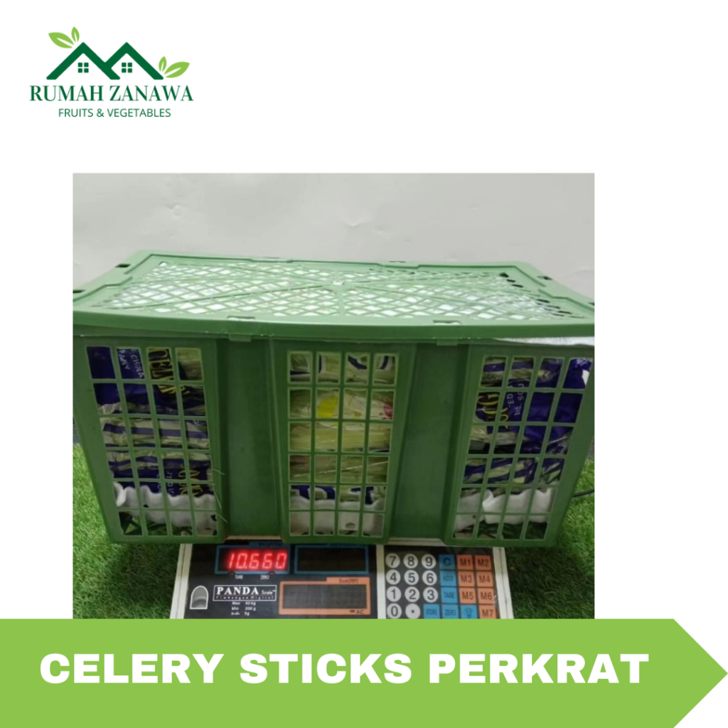 

CELERY STICK IMPORT 9 KG - RUMAH ZANAWA