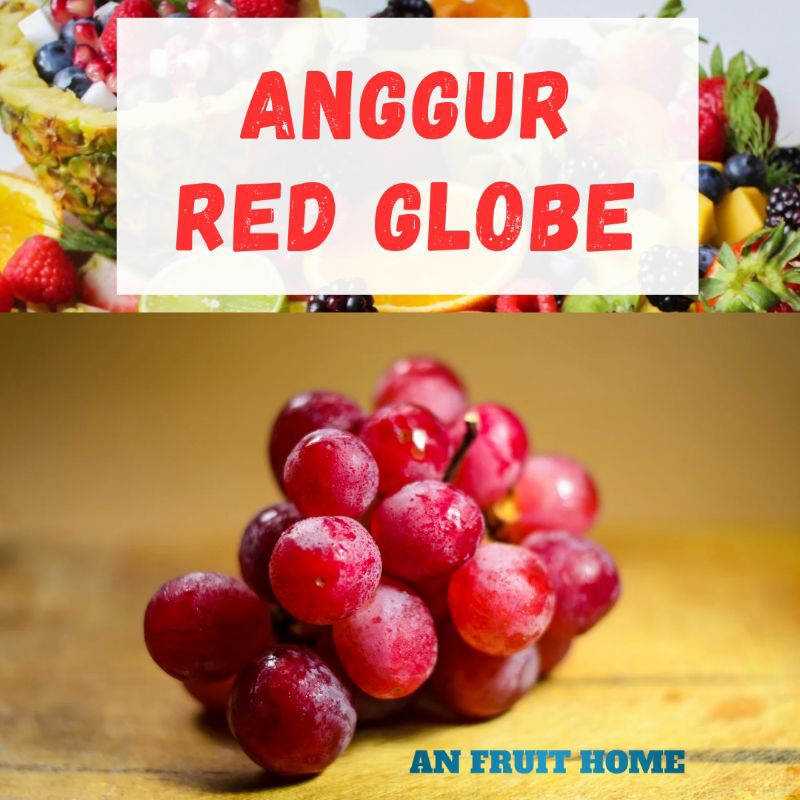 

Anggur Red Globe 500g