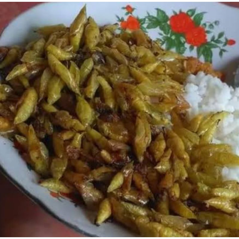 

Enthung johar Wonogiri,sudah di goreng,sangat gurih lezat di temani nasi dan sambal