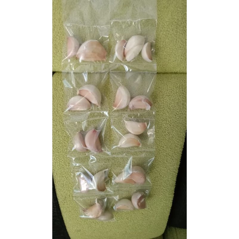 

BAWANG PUTIH RENCENGAN