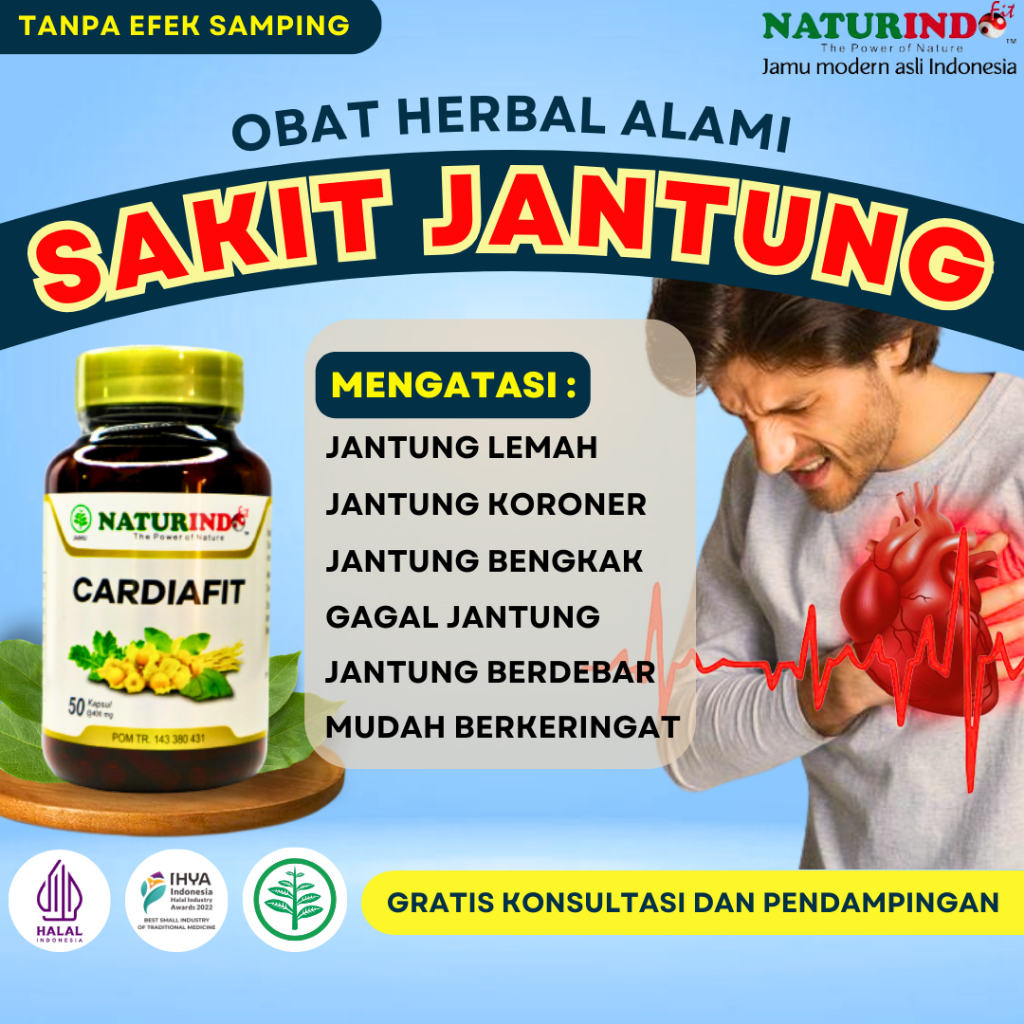 Obat Jantung Bengkak Dan Sesak Napas Obat Jantung Berdebar Jantung Koroner Obat Jantung Bengkak Herb