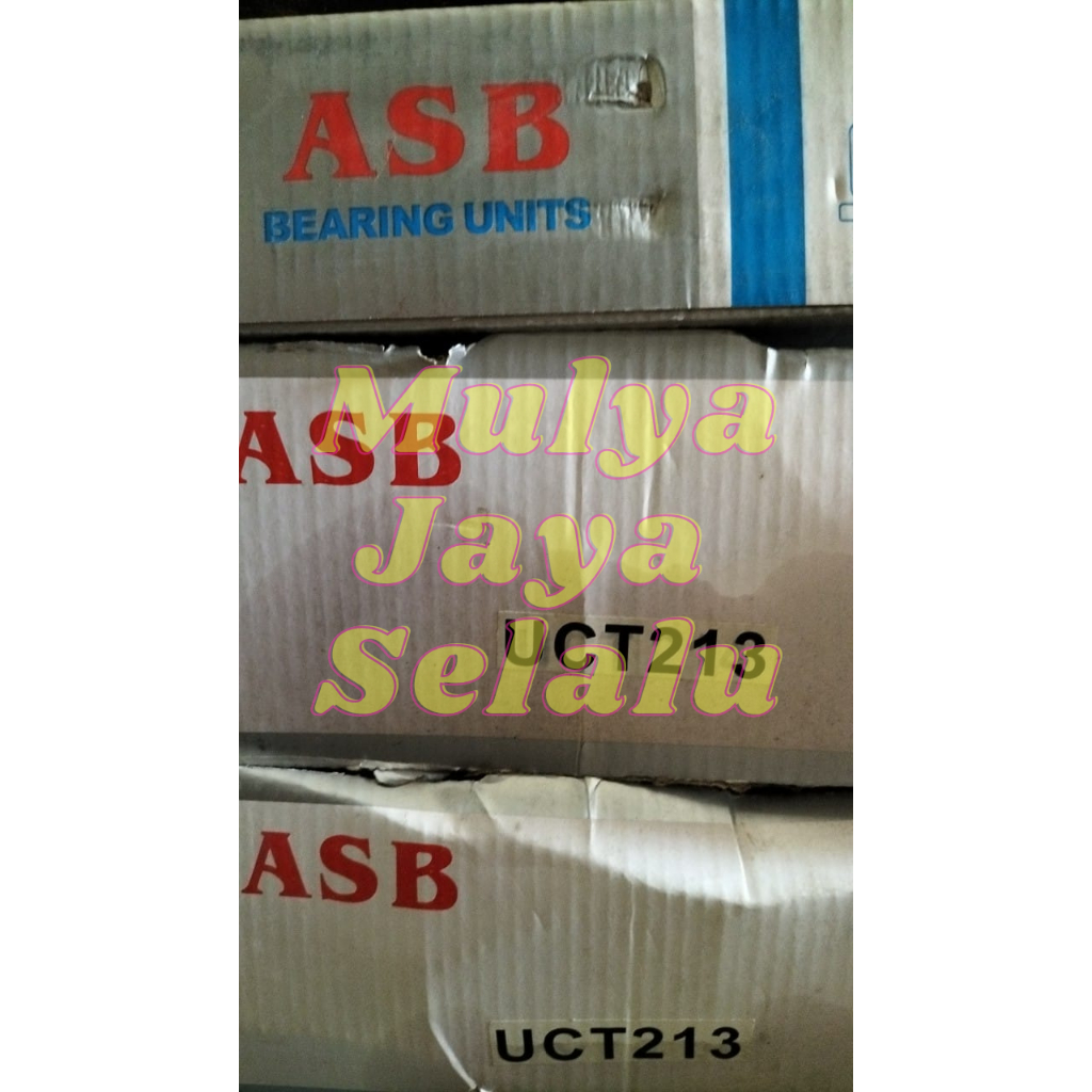 UCT 213 AS 65MM PILLOW BLOCK MEREK ASB