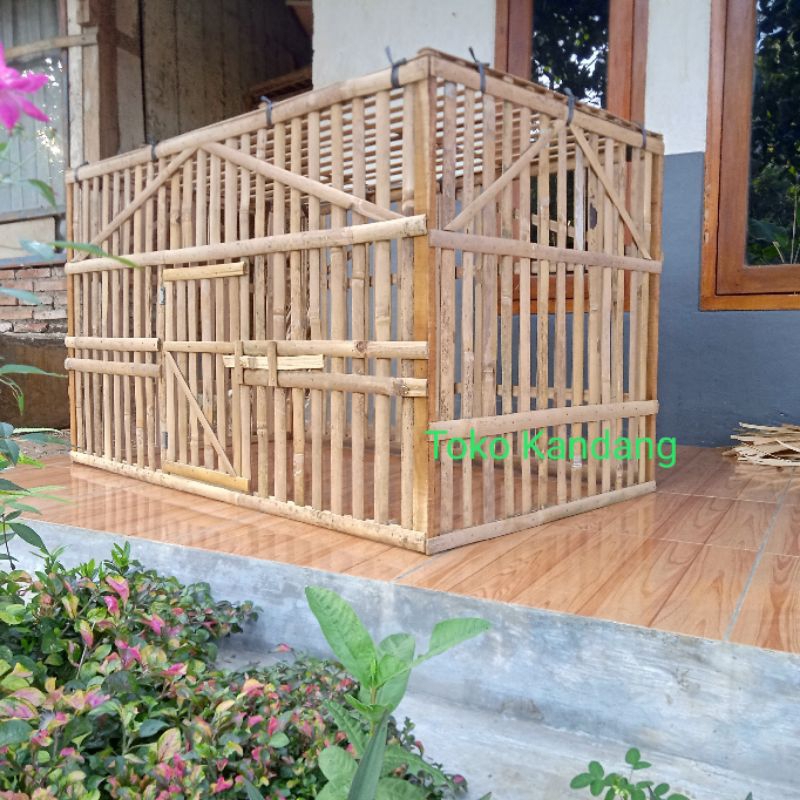 Kandang Umbaran Ayam Bangkok Bambu Lipat Rakitan Size 120x70 Cm