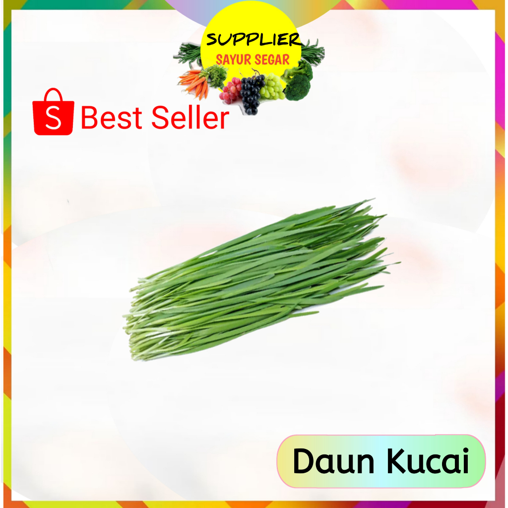 

Daun Kucai Kucay Per Ikat - Supplier Sayur Sayuran Mayur Segar Online Palembang