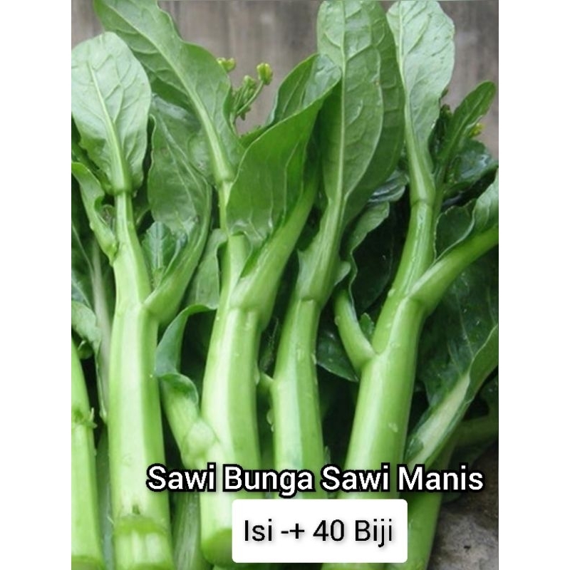 Sawi Bunga / Sawi Manis Biji