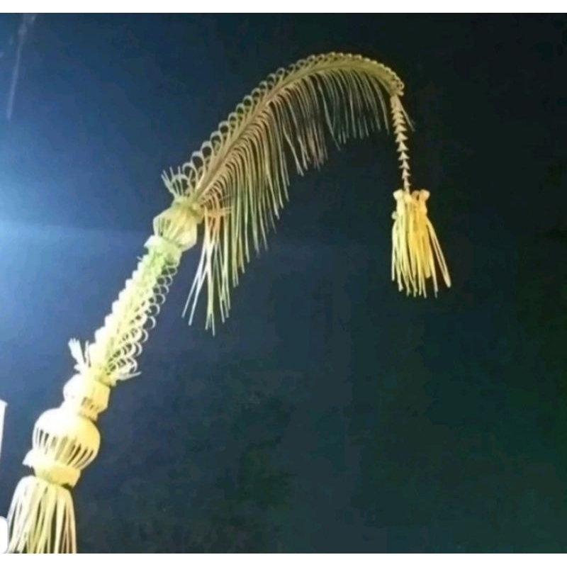 Janur Bali /Janur Kuning Bali Rumbai Premium