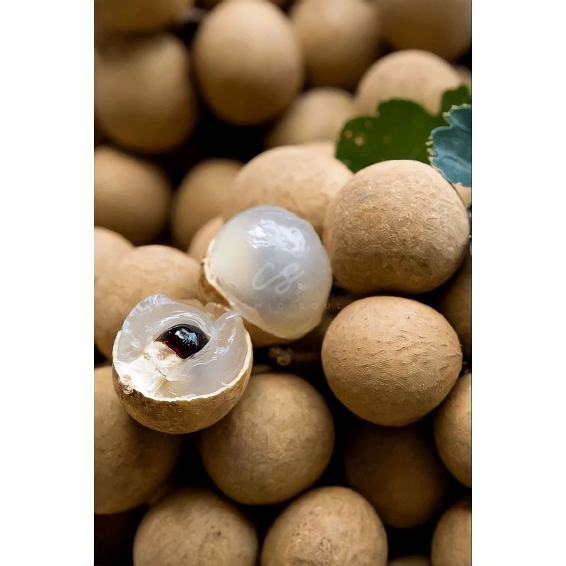 

[CosmicSoul] BUAH KELENGKENG BANGKOK THAILAND 1 KERANJANG