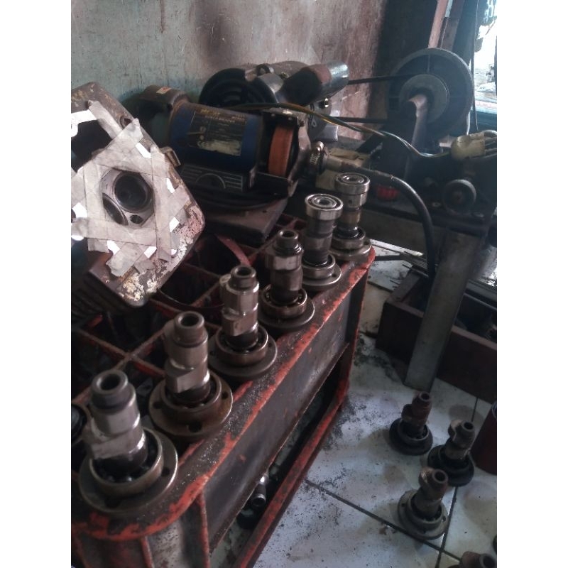 noken as cb gl mp tiger