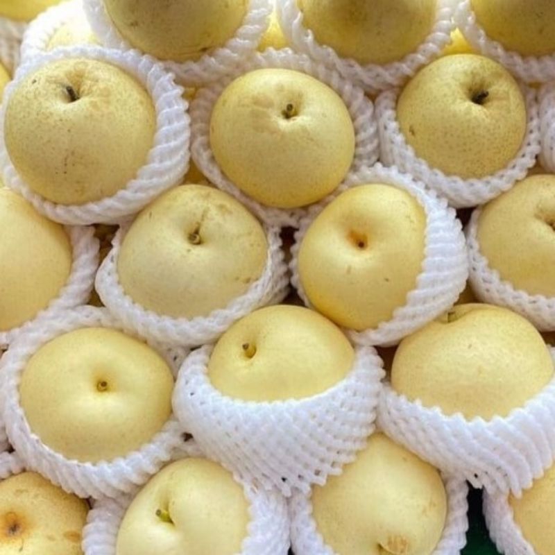 

[CosmicSoul] BUAH PEAR MADU 1 DUS