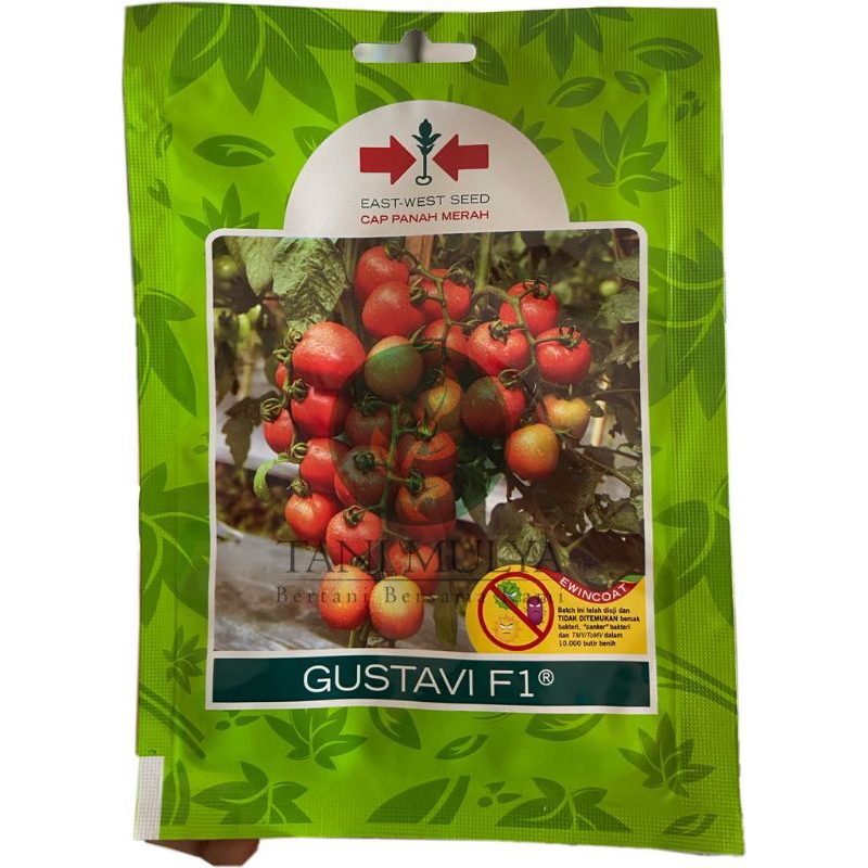 BIBIT TOMAT GUSTAVI F1