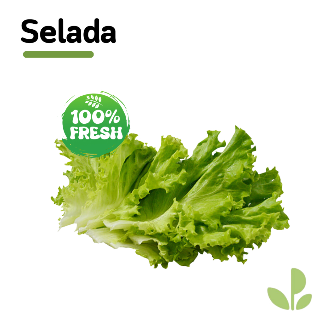 

SELADA KERITING SAYUR | 250/500GR |