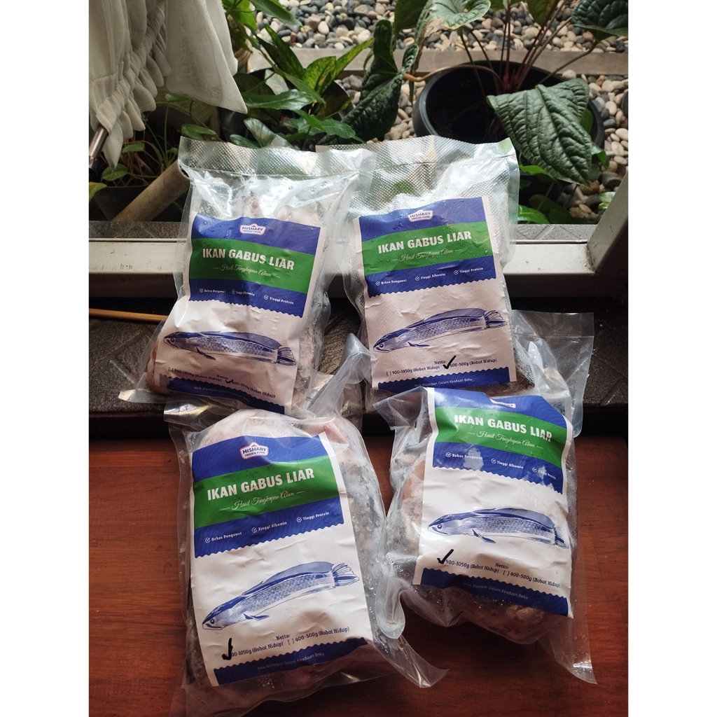 

Mishary Frozen Food Ikan Gabus Potong Tangkapan Liar (1kg)