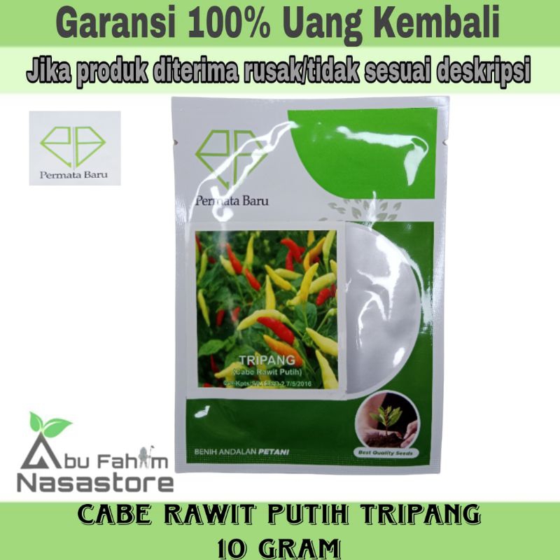 BENIH/BIBIT CABE RAWIT PUTIH TRIPANG 10 GRAM/PERMATA BARU 10 GRAM