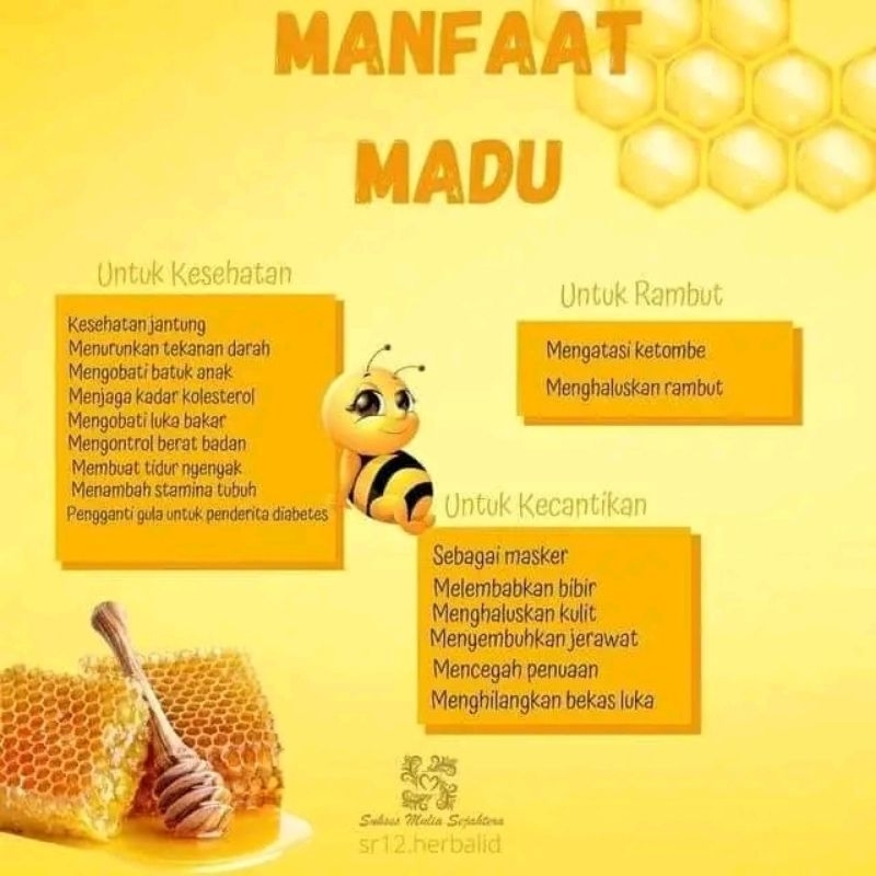 

MADU BADUY SR12/ 100℅ MADU MURNI ASLI / MADU PENAMBAH NAFSU MAKAN / MADU UNTUK SEGALA JENIS PENYAKIT/ MEMJAGA DAYA TAHAN TUBUH