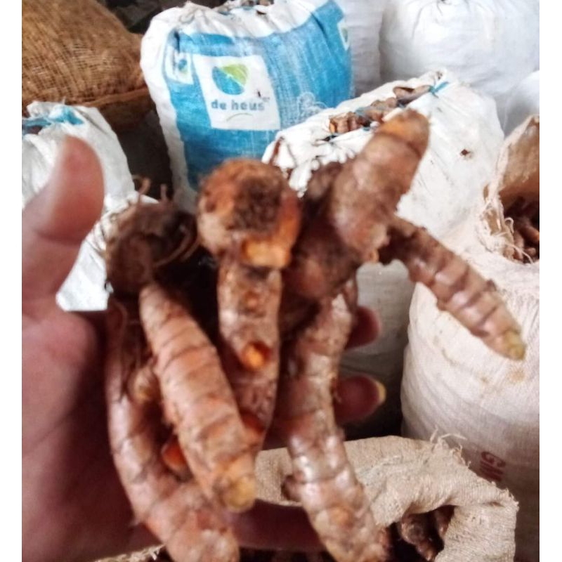 

KUNYIT SAYUR SEGAR 1KG