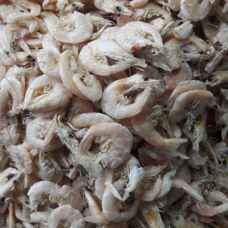 

BSM | TERMURAH Udang Asin Kering Manis Khas Medan 250gr - 1kg / Udang Asin Kering / Udang Kering