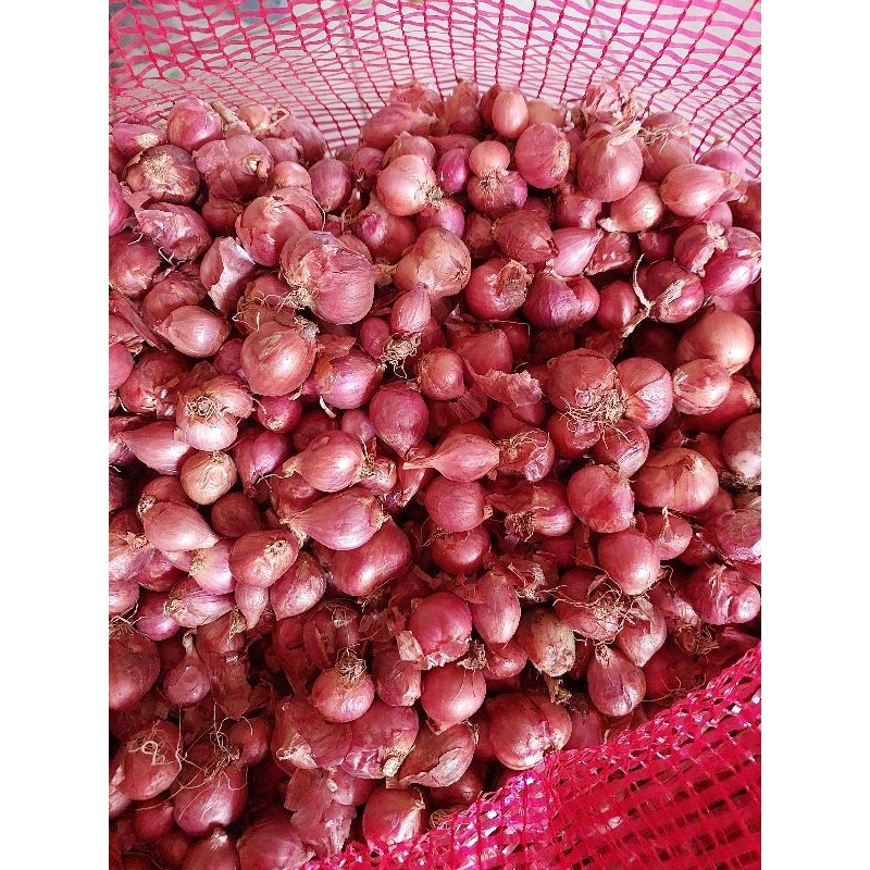 

bawang merah / brambang 1 kg