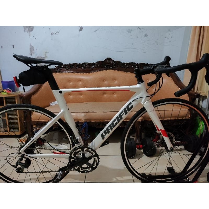 Pasific Paradox Rs size 52