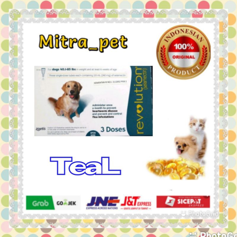 Revolution Dog 2.0 ml / Obat Kutu Anjing Teal 21-40kg