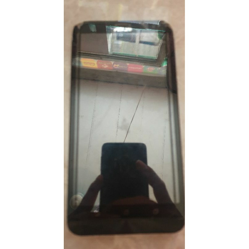 asus zenfone 6 z011dd