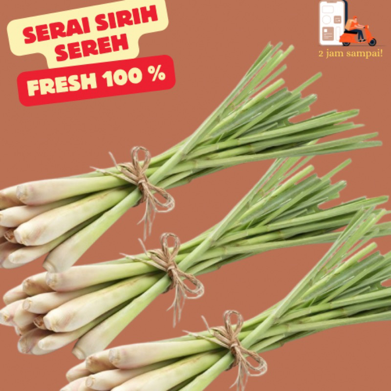 

Serai Sirih Sereh 1 ikat Fresh bumbu KIRIM INSTAN BANDUNG