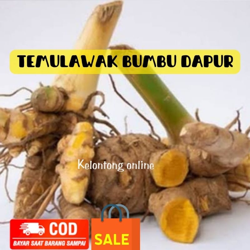 

(250 gram) Temulawak