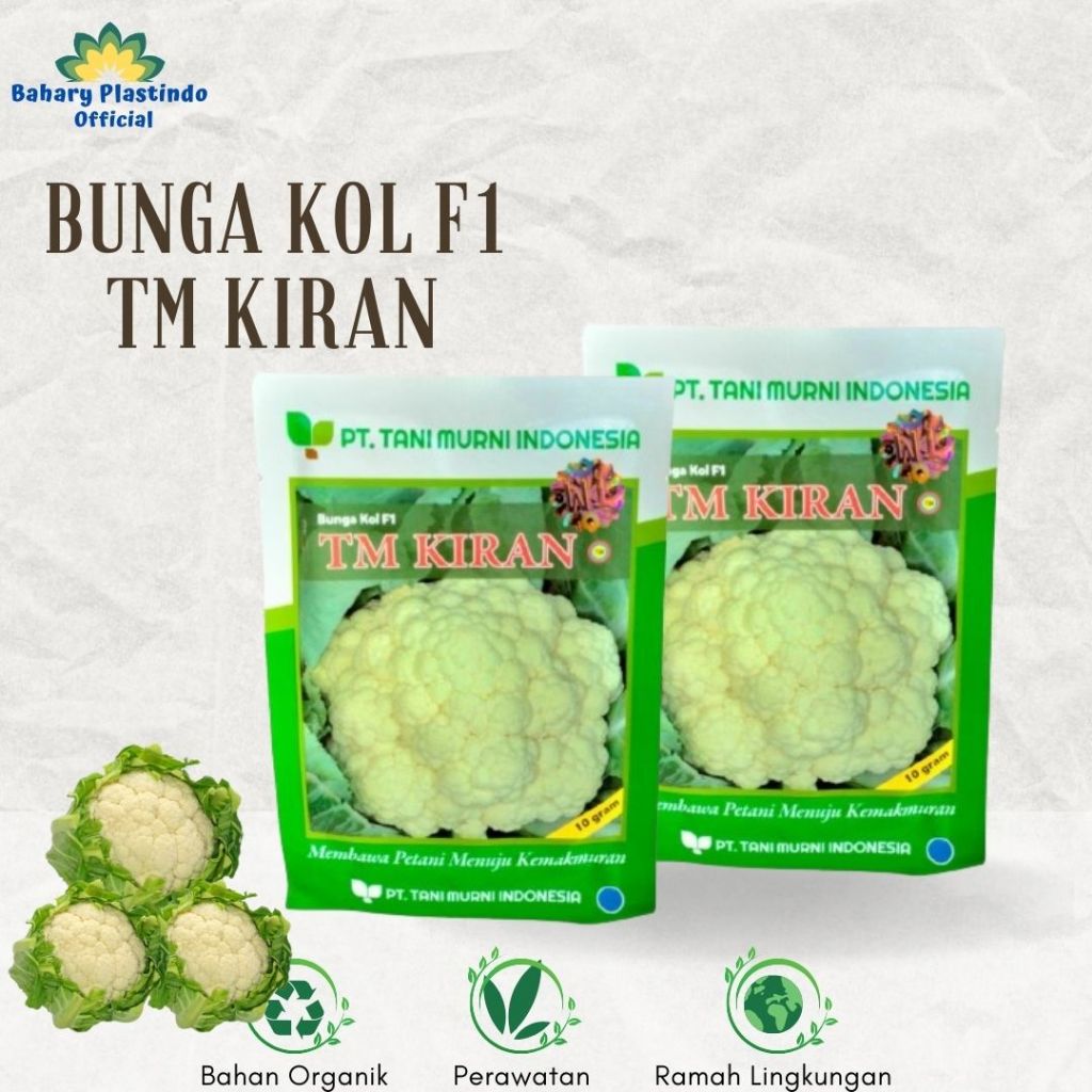 Benih Kol Putih Hibrida TM Kiran F1
