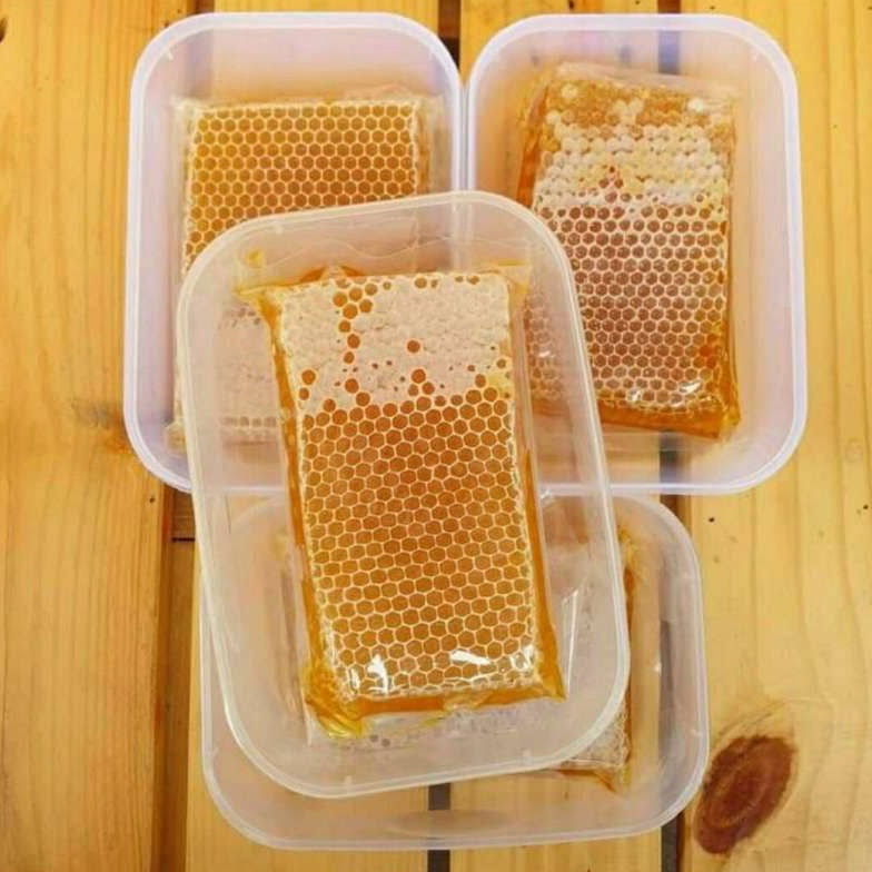 

A7 Madu Sarang Asli 25 Gram Carena Melifera 124