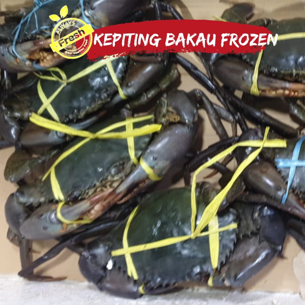 

Kepiting Bakau Frozen Fresh isi (3-4 Ekor)