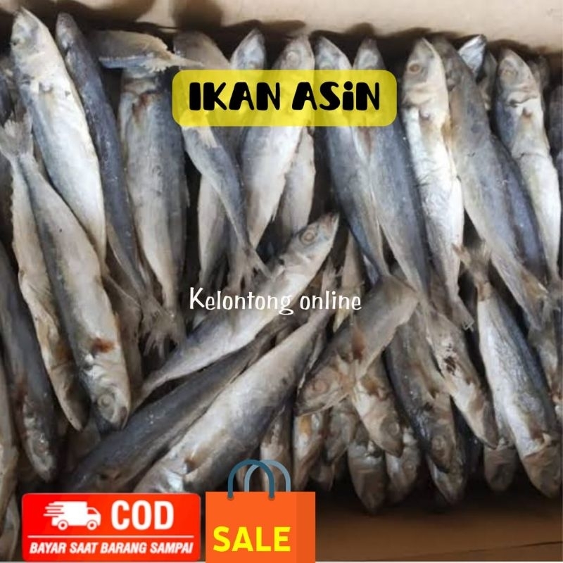 

(500 gram )KAN ASIN ukuran sedang// selalu baru