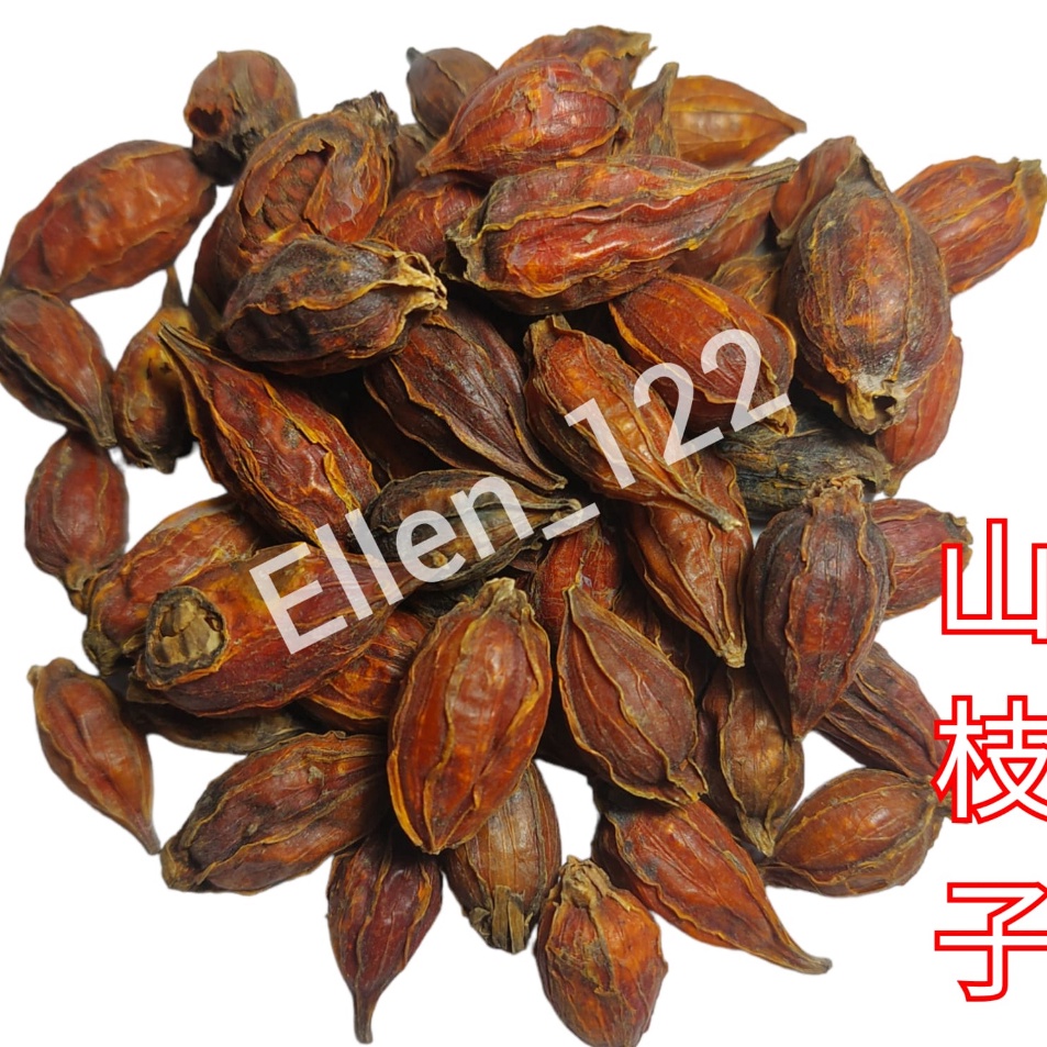 

Terlaris San Zhi Zi Shan Zhi Zi 1gram Shanzhizi Fructus Gardenia Cape Jasmine Fruit