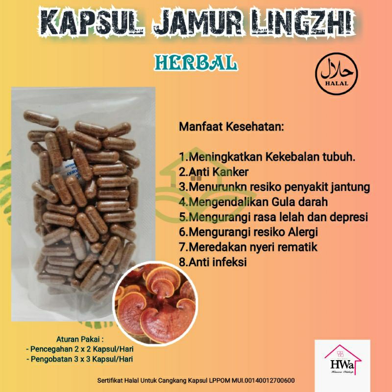 

Jamur Lingzhi Herbal Kanker dan Tumor isi 50 Kapsul