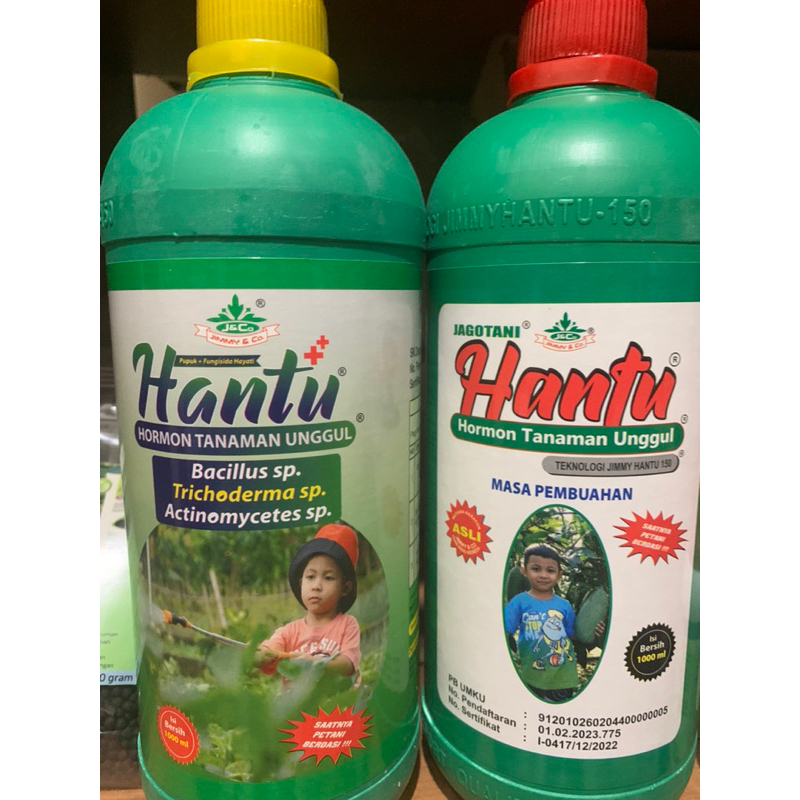 Paket hantu pembuahan jimmy hantu @1liter(KUNING,MERAH)