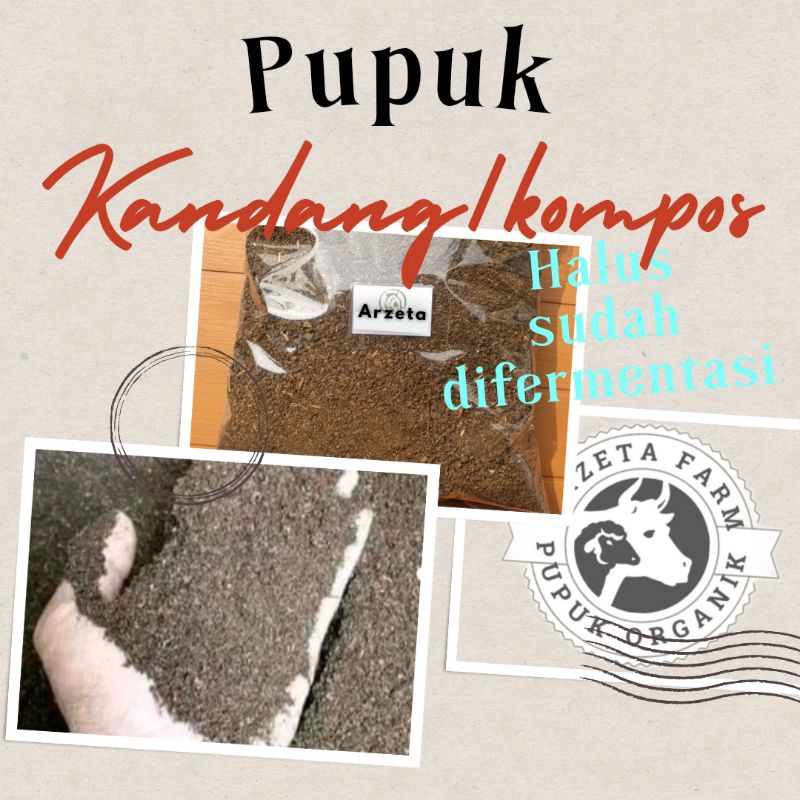 Media tanam 1 karung(kohe kambing + sekam halus/fermentasi)