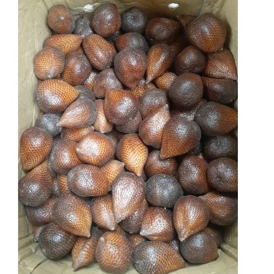 

Indukbuah Buah Salak Pondoh Manis 1 Dus/Keranjang 12kg