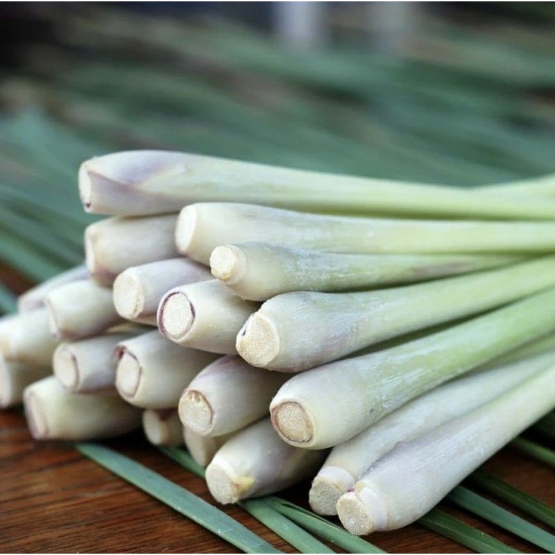 

Serai-Sereh Segar Grade A Serai Bangkok Organik