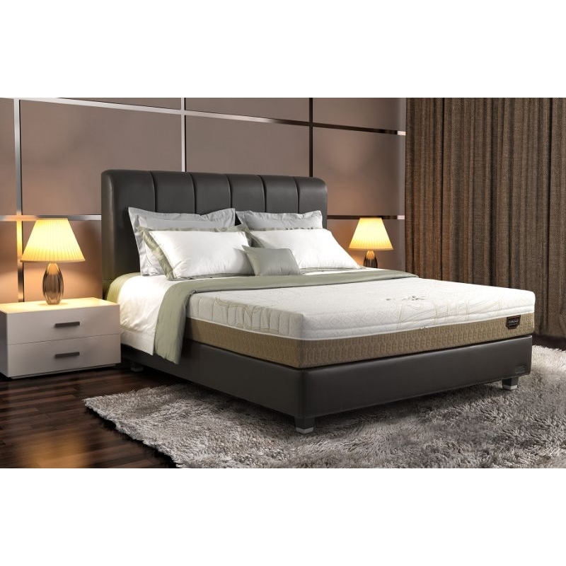 SPRINGBED FLORENCE ORTHOPEDIC CARE.